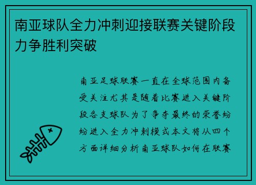 南亚球队全力冲刺迎接联赛关键阶段力争胜利突破