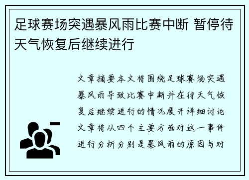 足球赛场突遇暴风雨比赛中断 暂停待天气恢复后继续进行